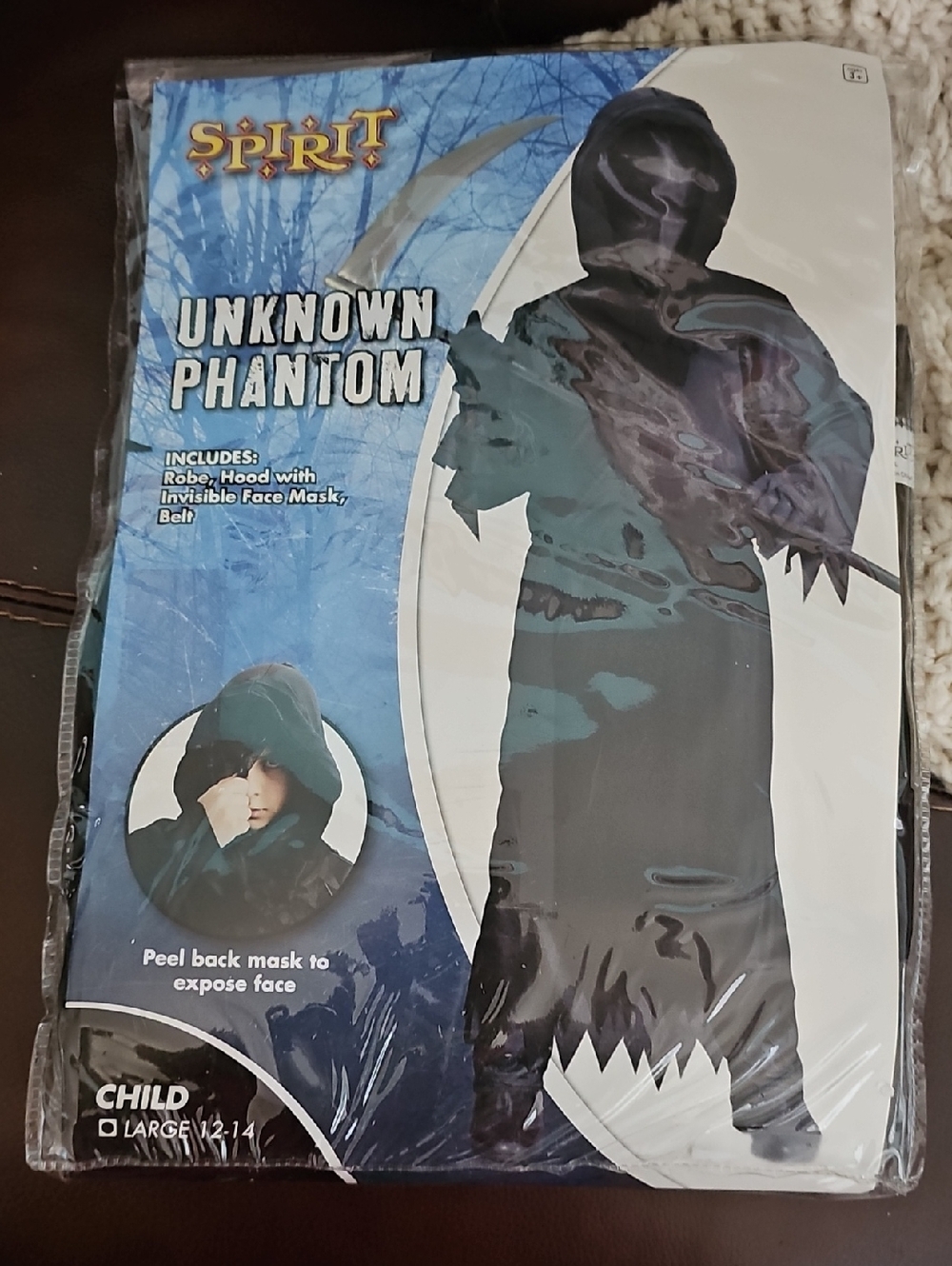 Spirit Halloween Unknown Phantom Costume